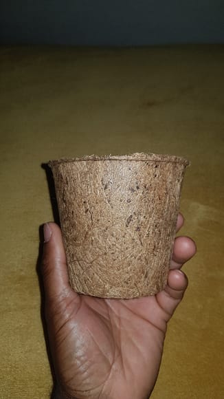 Coir pot large 13cm