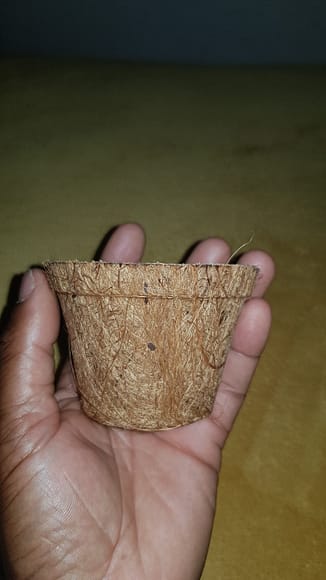 Coir pot small 10cm